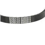 ALTERNATOR BELT, 6655314
