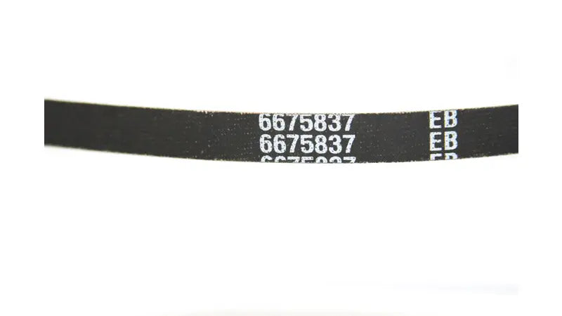 ALTERNATOR BELT, 6675837