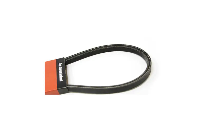 ALTERNATOR BELT, 6704720