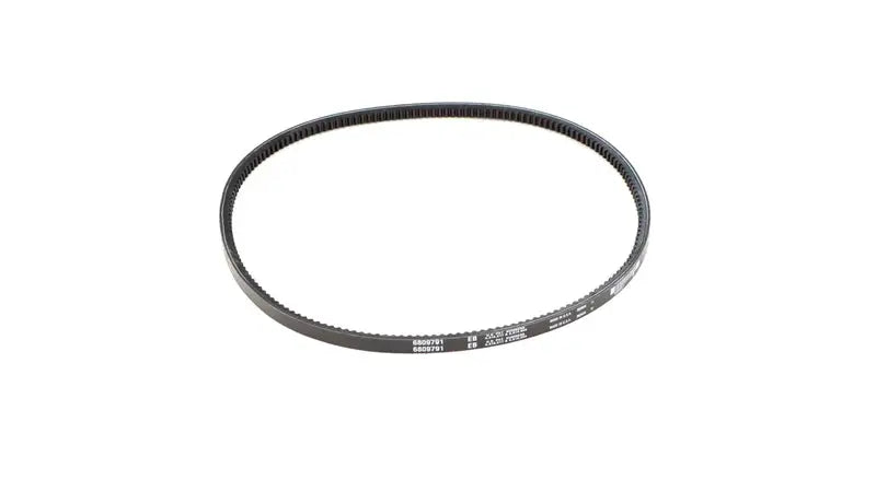 ALTERNATOR BELT, 6809791
