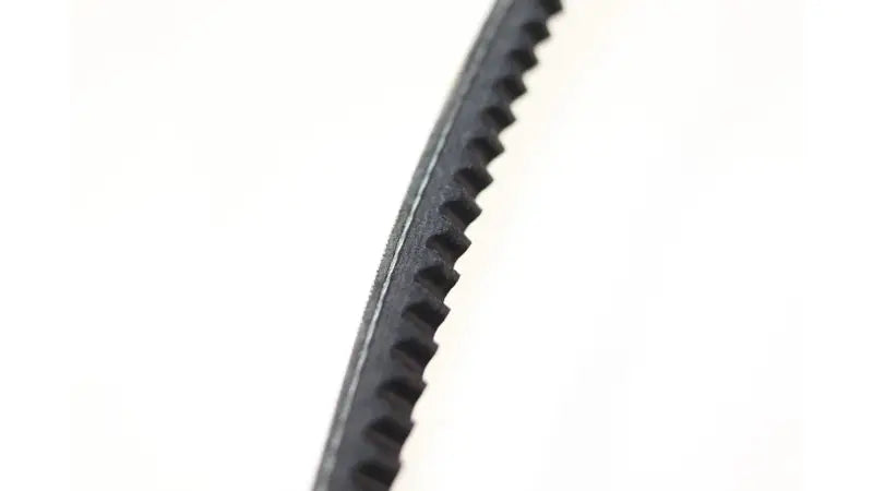 ALTERNATOR BELT, 6686655