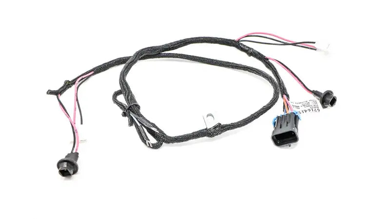 REAR DOOR HARNESS, 6716419