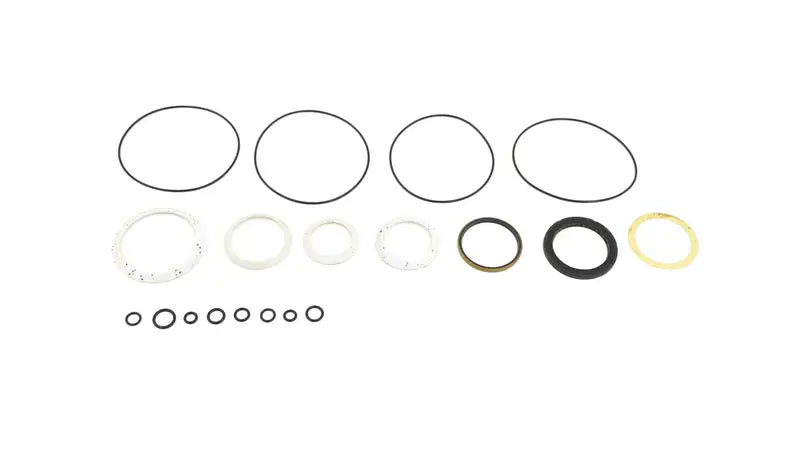 HYDROSTATIC MOTOR SEAL KIT, 6598463