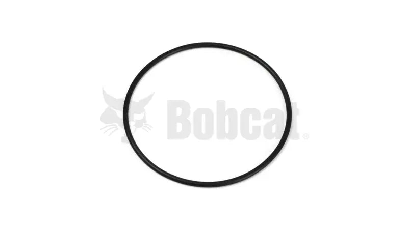 O-RING, 25K40400
