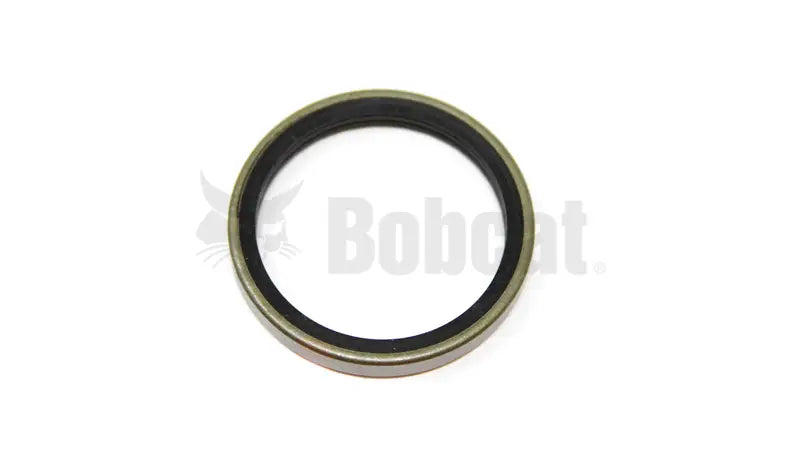 RADIAL LIP SEAL, 6678960