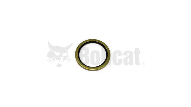 OIL SEAL, 6652915