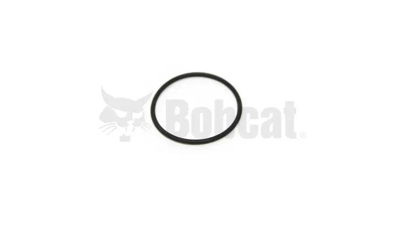 O-RING, 6686220