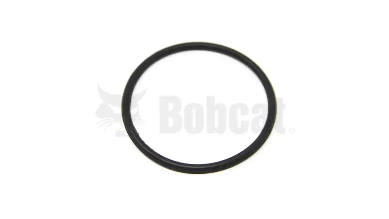 O-RING, 7030412