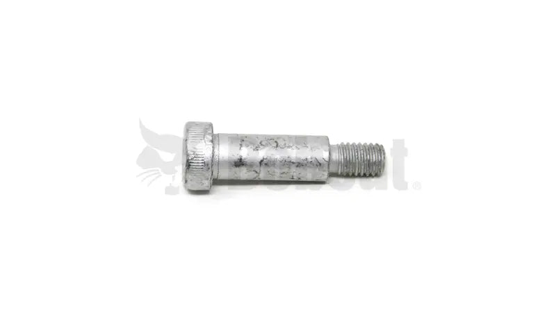 SCREW, 38C820