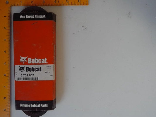 FAN BELT, 6704607