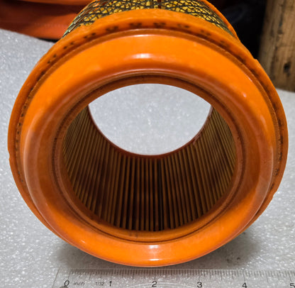 AIR FILTER, 005555890R91