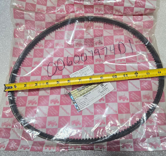 FAN BELT, 006007974D1