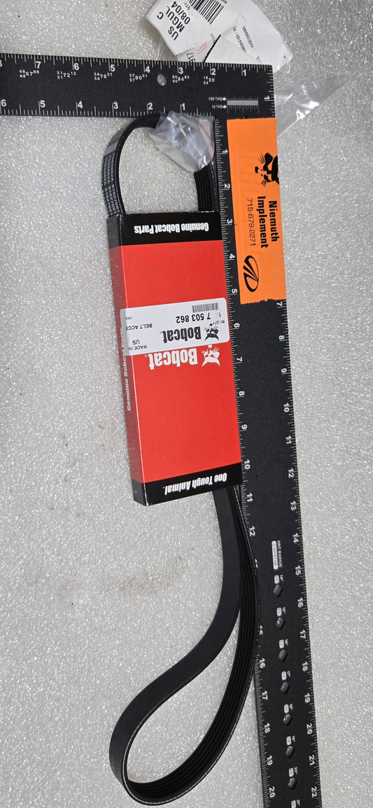 Accessory Belt, 7503862