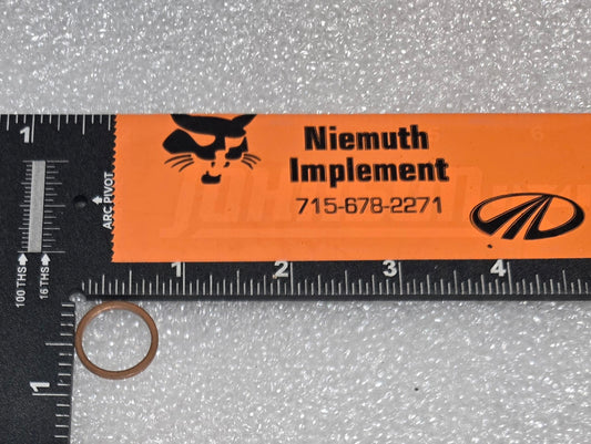 Sealing Ring, 3010774X1