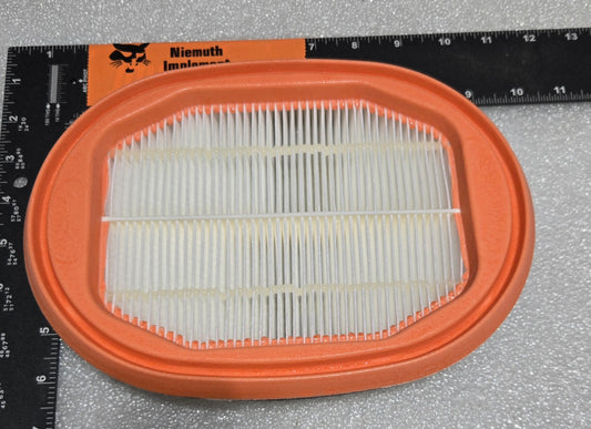 Secondary Air Filter, 4288979M1