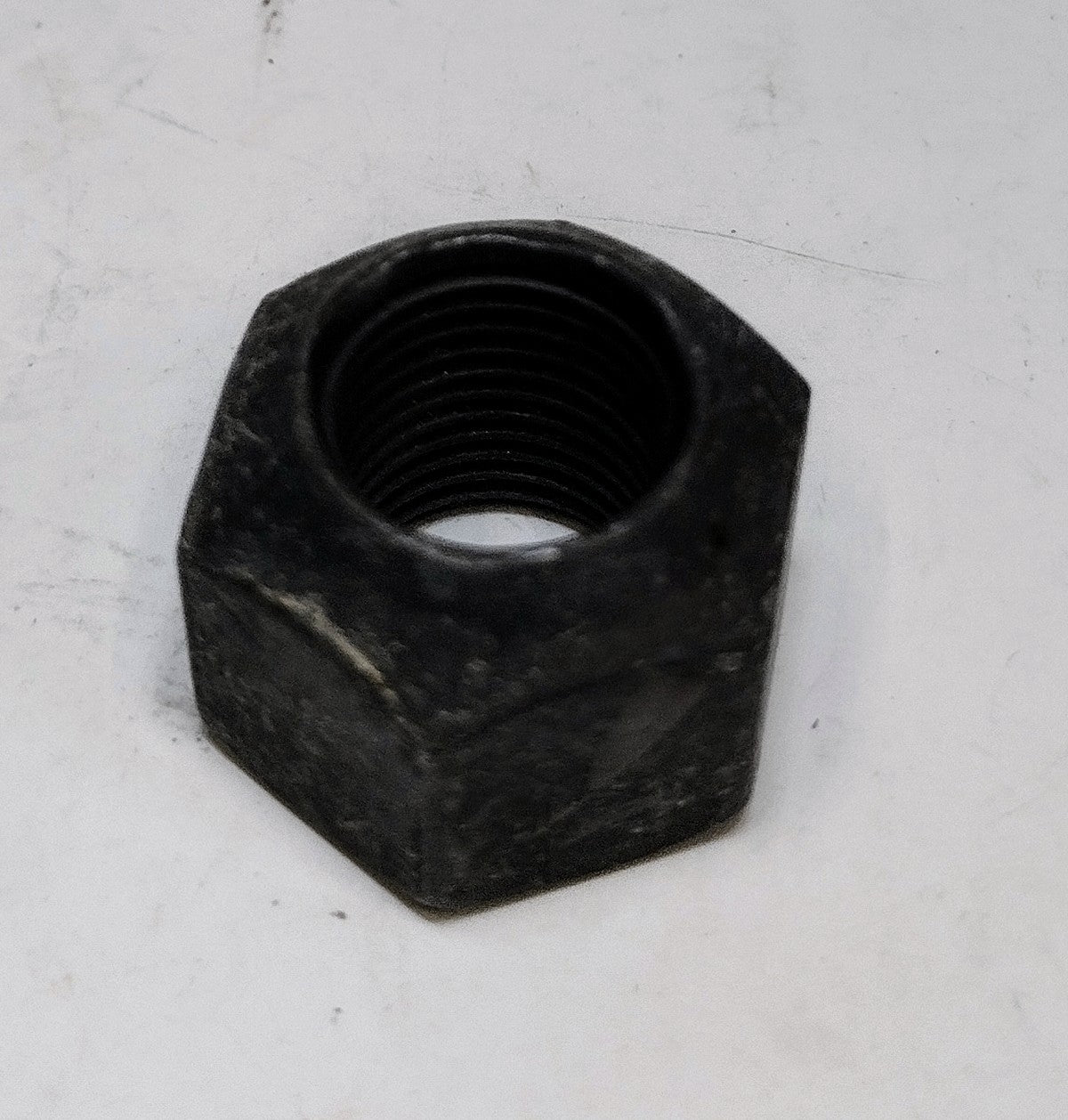 NUT, 6557188