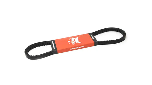 ALTERNATOR BELT, 6655314