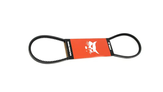 ALTERNATOR BELT, 6675837