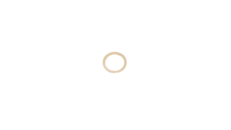 Delivery Valve Gasket, 3974368