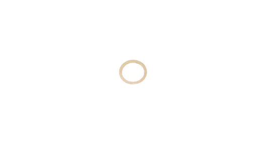 Delivery Valve Gasket, 3974368