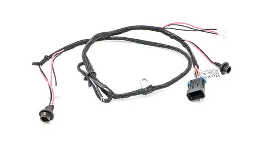 REAR DOOR HARNESS, 6716419