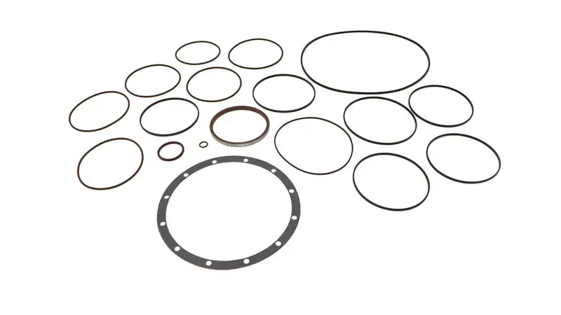 HYDROSTATIC SEAL KIT, 6675870
