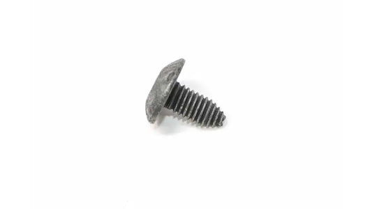 SCREW, 6589675