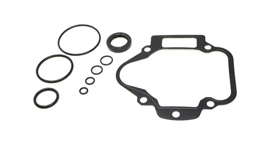HYDROSTATIC SEAL KIT, 6677777