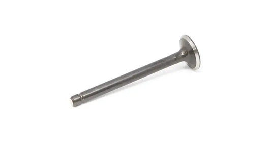 EXHAUST VALVE, 6655174