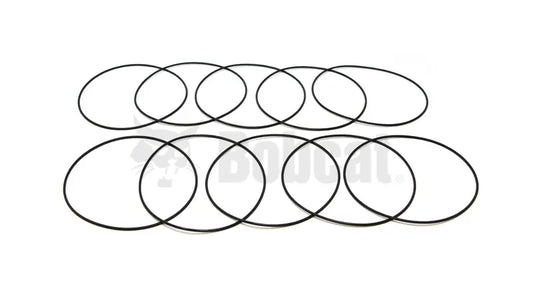 O-RING, 25K20308