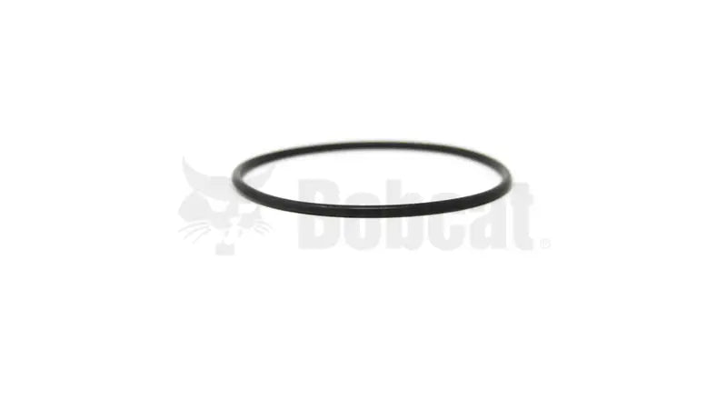 O-RING, 7030413