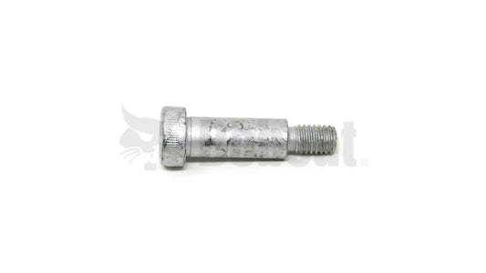 SCREW, 38C820